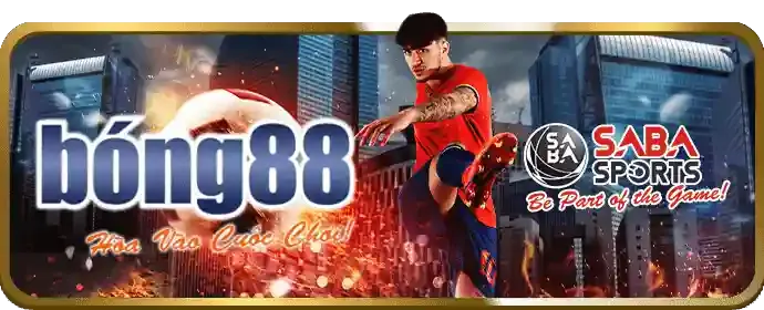 Hỗ trợ đa kênh p3bet